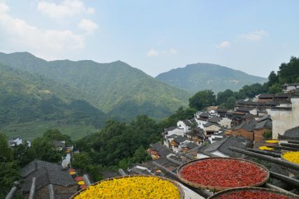 国联股份案
